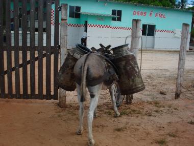 Apartamento de vacaciones en Canavieiras (Bahia)Casa de vacaciones
