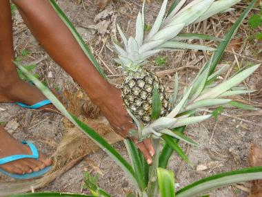 Apartamento de vacaciones en Canavieiras (Bahia)Casa de vacaciones