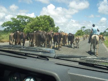 Apartamento de vacaciones en Canavieiras (Bahia)Casa de vacaciones