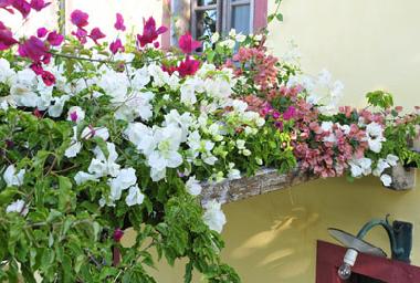 Casa de vacaciones en Ponta do Pargo (Madeira)Casa de vacaciones