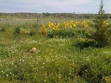 Casa de vacaciones en Mu�opepe (�vila)Casa de vacaciones