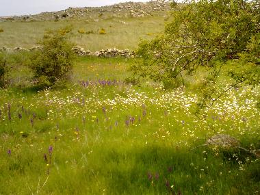 Casa de vacaciones en Mu�opepe (�vila)Casa de vacaciones