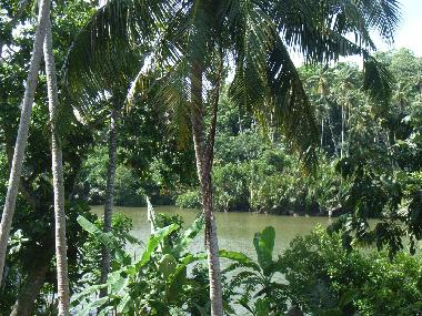 Cama y desayuno en Weligama-Pelena (Galle)Casa de vacaciones