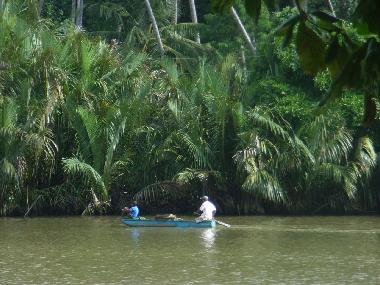 Cama y desayuno en Weligama-Pelena (Galle)Casa de vacaciones