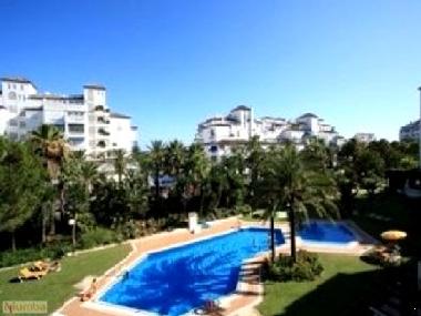 Communal Pool