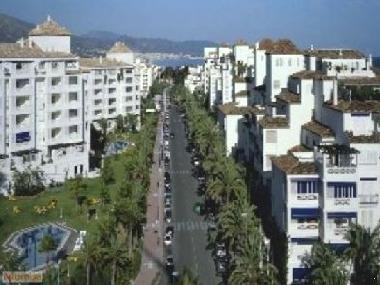 Arial View of Playas del Duque