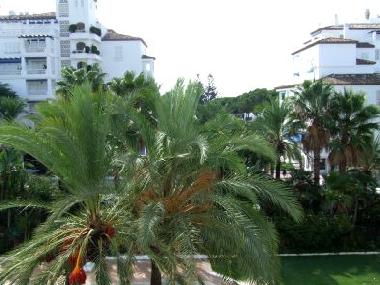 View from Terrace