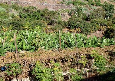 Casa de vacaciones en Ribeira Brava (Madeira)Casa de vacaciones