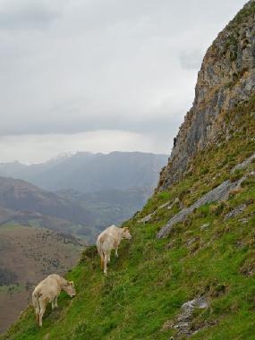 Casa de vacaciones en Lourdes Ossun-ez-Angles (Hautes-Pyr�n�es)Casa de vacaciones