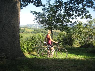 Casa de vacaciones en Lourdes Ossun-ez-Angles (Hautes-Pyr�n�es)Casa de vacaciones