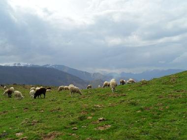 Casa de vacaciones en Lourdes Ossun-ez-Angles (Hautes-Pyr�n�es)Casa de vacaciones