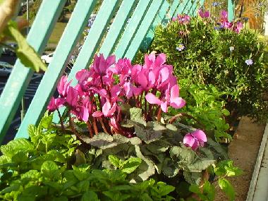 Apartamento de vacaciones en Tel Aviv (Tel Aviv)Casa de vacaciones