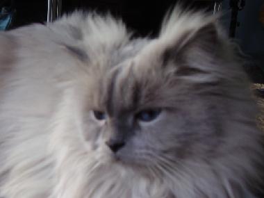 Apartamento de vacaciones en Tel Aviv (Tel Aviv)Casa de vacaciones