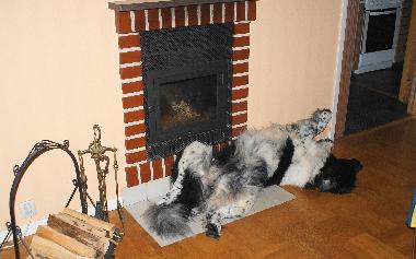 Casa de vacaciones en L�nneberga (Smaland)Casa de vacaciones