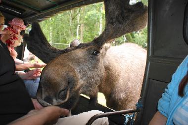 Casa de vacaciones en L�nneberga (Smaland)Casa de vacaciones
