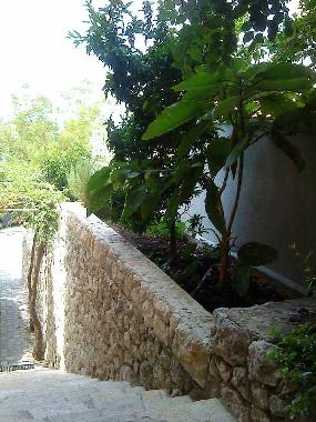 Apartamento de vacaciones en Makarska (Splitsko-Dalmatinska)Casa de vacaciones