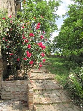 Casa de vacaciones en Sassocorvaro (Pesaro e Urbino)Casa de vacaciones