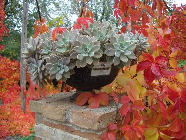 Casa de vacaciones en Sassocorvaro (Pesaro e Urbino)Casa de vacaciones