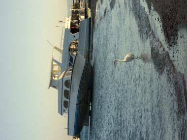 Apartamento de vacaciones en HURGADA (Al Bahr al Ahmar)Casa de vacaciones