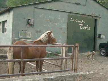 Zona de equitaci�n y alquiler de caballos