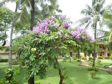 Apartamento de vacaciones en Kuta Legian (Bali)Casa de vacaciones