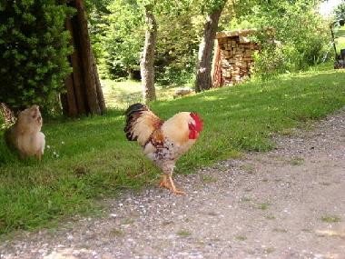 Casa de vacaciones en Hobstin (Holsteinische Schweiz)Casa de vacaciones