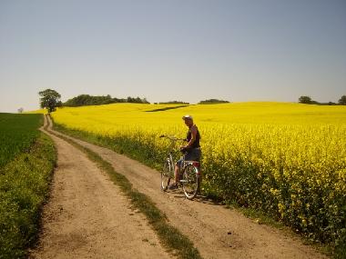 Casa de vacaciones en Hobstin (Holsteinische Schweiz)Casa de vacaciones