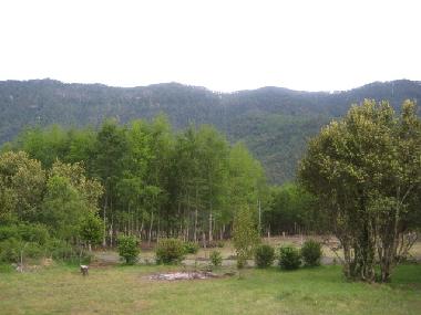Casa de vacaciones en pucon (Araucania)Casa de vacaciones