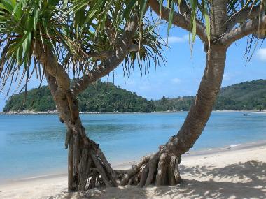 Villa en nai yang (Phuket)Casa de vacaciones