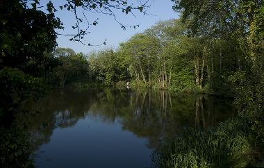 Casa de vacaciones en Bideford (South West)Casa de vacaciones