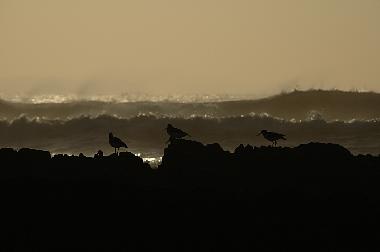 Casa de vacaciones en Bideford (South West)Casa de vacaciones