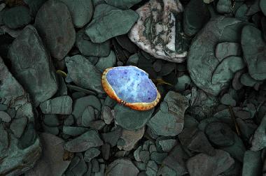 Casa de vacaciones en Bideford (South West)Casa de vacaciones