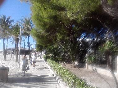 Apartamento de vacaciones en Pto.Alcudia (Mallorca)Casa de vacaciones