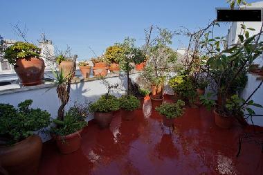 Apartamento de vacaciones en C�diz (C�diz)Casa de vacaciones