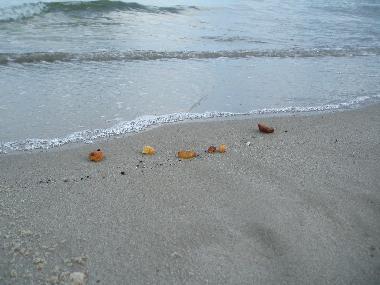 Apartamento de vacaciones en Koserow (Ostsee-Inseln)Casa de vacaciones