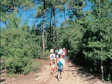 Casa de vacaciones en SAINT JEAN DE MONTS (Vende)Casa de vacaciones