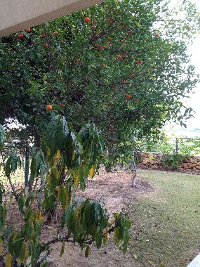 Apartamento de vacaciones en caesarea (HaMerkaz (Central))Casa de vacaciones