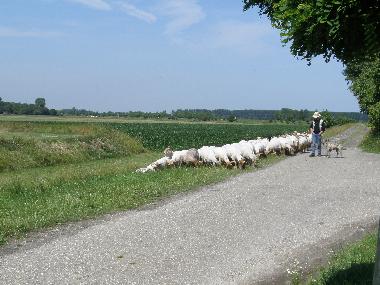 Casa de vacaciones en Oostburg (Zeeland)Casa de vacaciones