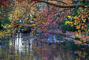 Apartamento de vacaciones en LA ROCHELLE (Charente-Maritime)Casa de vacaciones