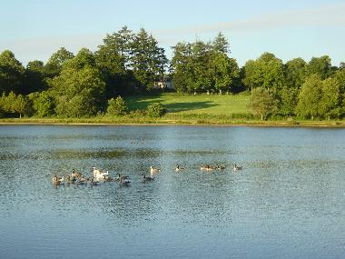 Casa de vacaciones en Langoelan (Morbihan)Casa de vacaciones