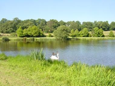 Casa de vacaciones en Langoelan (Morbihan)Casa de vacaciones