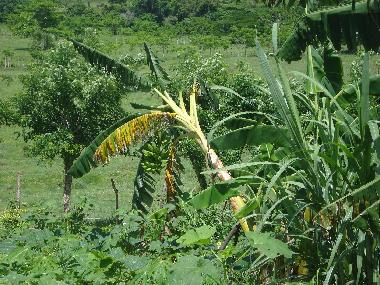 Apartamento de vacaciones en la piedra (El Seibo)Casa de vacaciones