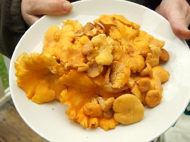 Casa de vacaciones en Vara (V�sterg�tland)Casa de vacaciones