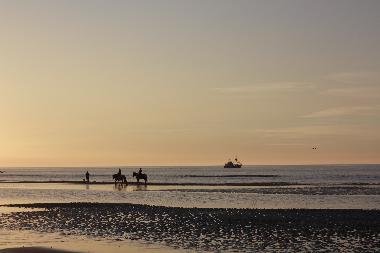 Apartamento de vacaciones en De Haan (Vosseslag) (Flandes)Casa de vacaciones