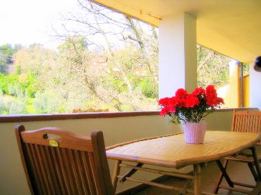 Apartamento de vacaciones en Campiglia Marittima (Livorno)Casa de vacaciones