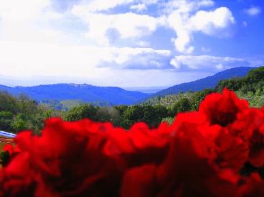 Apartamento de vacaciones en Campiglia Marittima (Livorno)Casa de vacaciones