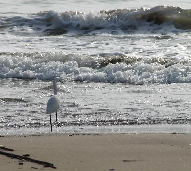 Apartamento de vacaciones en Ardea Roma (Roma)Casa de vacaciones