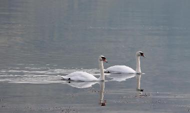 Apartamento de vacaciones en Ardea Roma (Roma)Casa de vacaciones