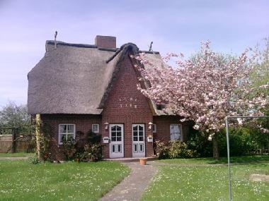 Casa de vacaciones en Bad Friedrichskoog-Spitze (Nordsee-Festland)Casa de vacaciones