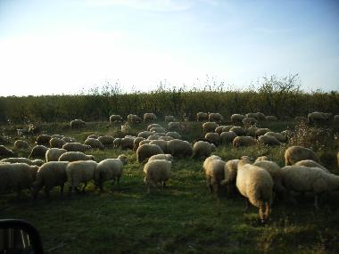 Casa de vacaciones en Cund (Mures)Casa de vacaciones